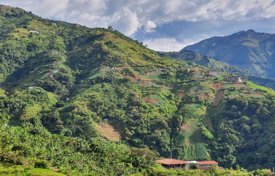 paisaje-san-sebastian-de-palmitas