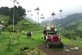 day-trip-to-salento-and-cocora-valley-11